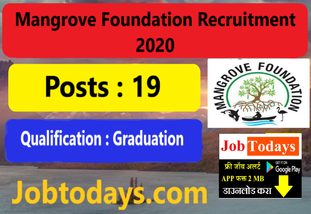 Mangrove Foundation Recruitment 2020